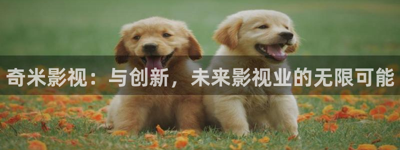 丝瓜视频成人在线